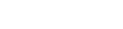 Logo D2 Group